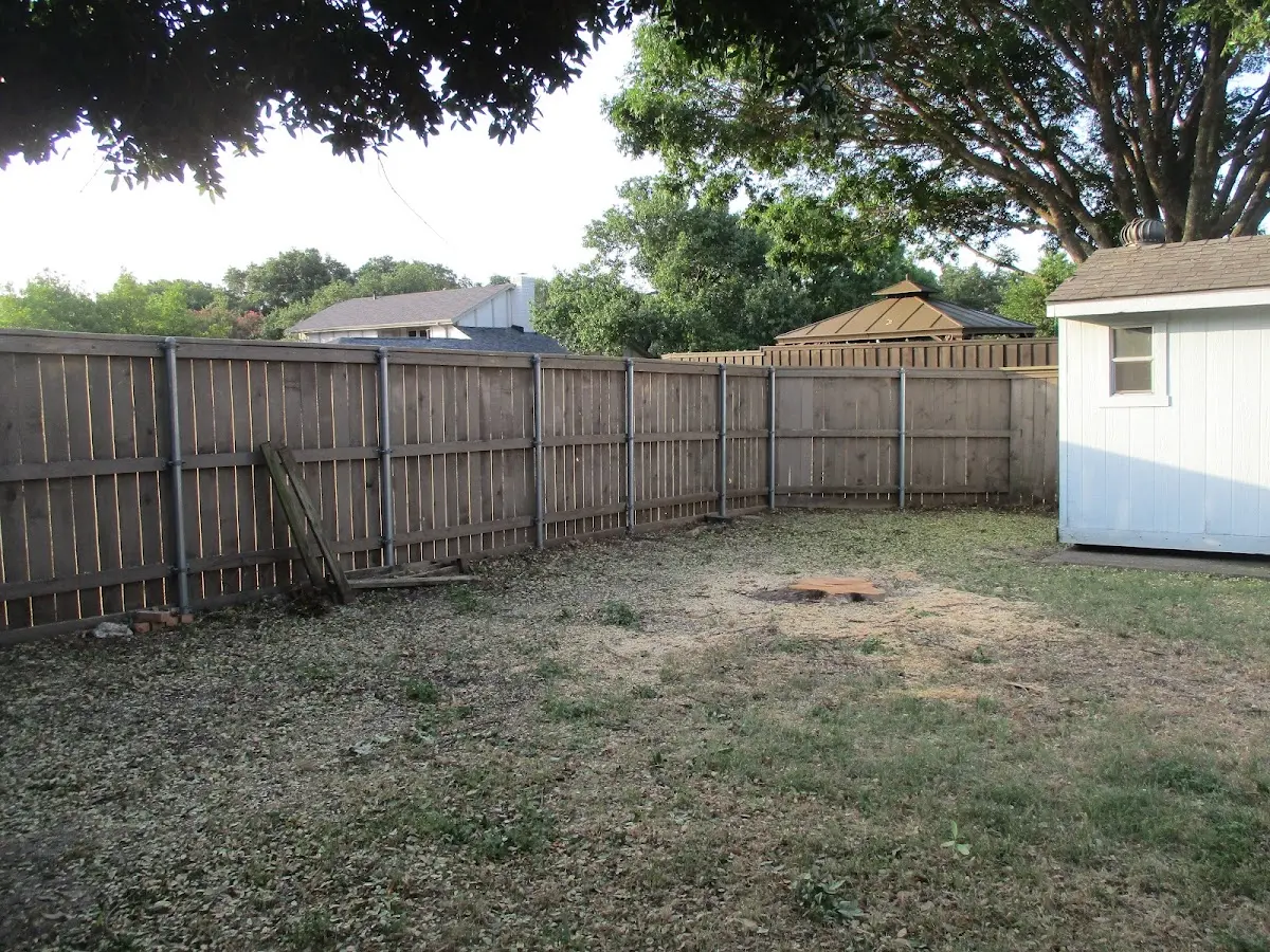 Cleared yard after professional tree removal in Mercedes